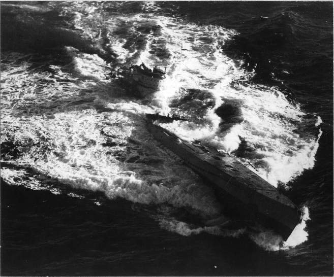 u185_002.jpg